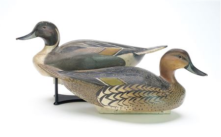 Rigmate pair of pintails