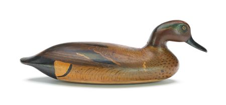 Very Rare Greenwing Teal