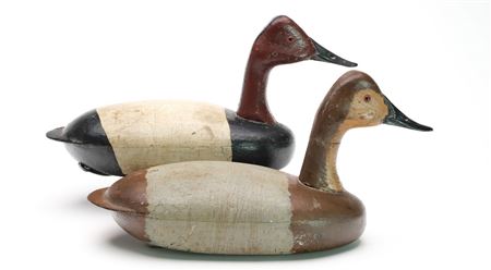 Rigmate pair of high head canvasbacks