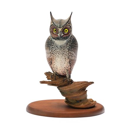 Rare owl on perch