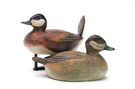 Important pair of working ruddy ducks