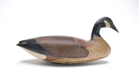 Canada Goose, circa 1910