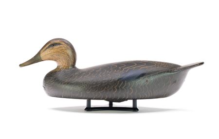 Black duck by Sam Denny - Auction record, sale price, and art valuation. Compare with similar artists and explore comparable artworks.