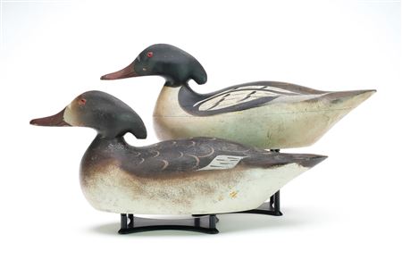 Rigmate Pair of American Mergansers