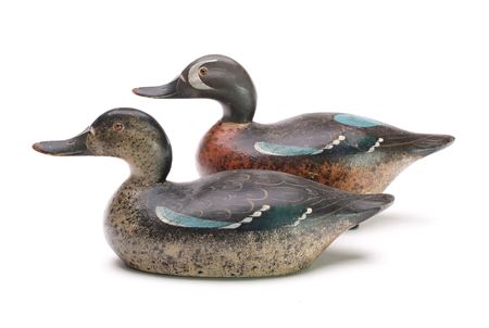 Rigmate Pair of Bluewing Teal