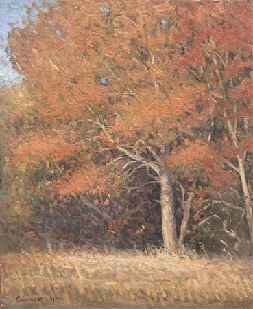 Sweetgum
