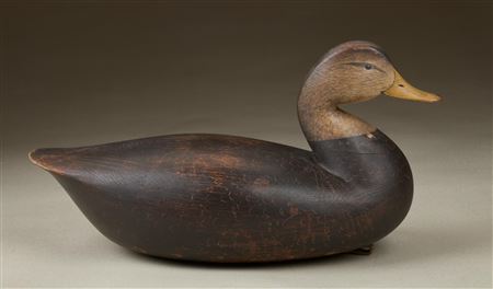 Carved eye blackduck