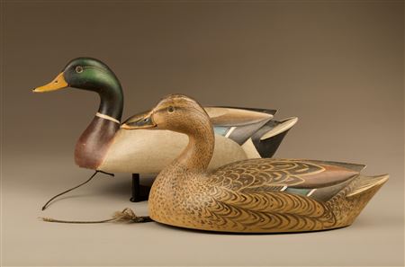Personal rig mallard pair 2016