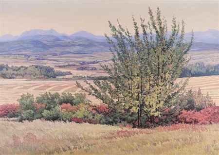 HARVEST AIR