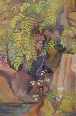 Fern and Saxifrage