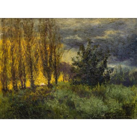 Forest Landscape Scene