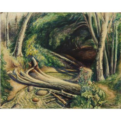 Trout Stream