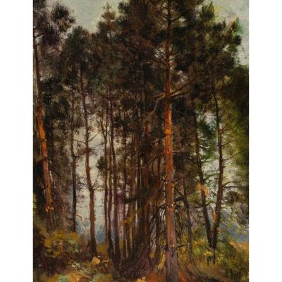 Pine Grove