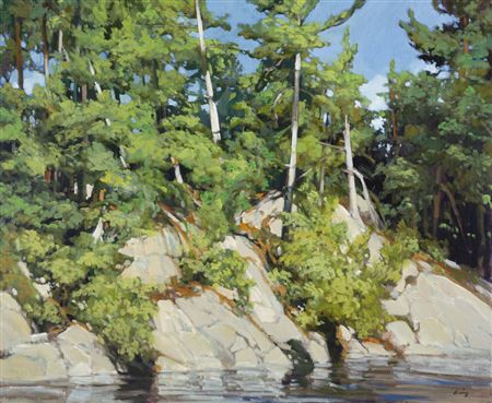 Trees on Shore