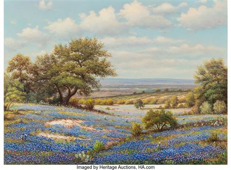 Bluebonnets