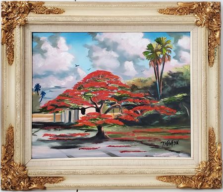 Poinciana Tree Landscape