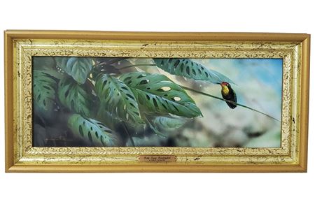 Hummingbird