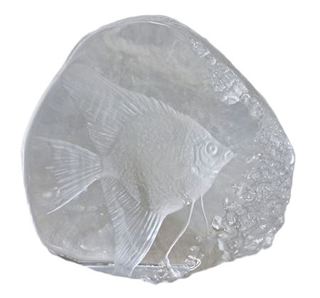 Crystal Angel Fish