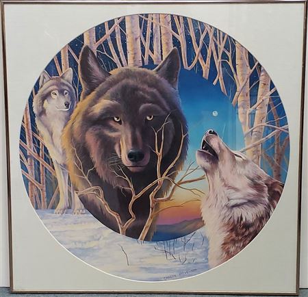 Wildlife Wolf