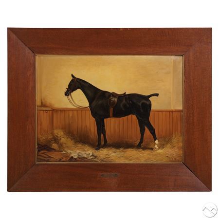 Horse Portrait
