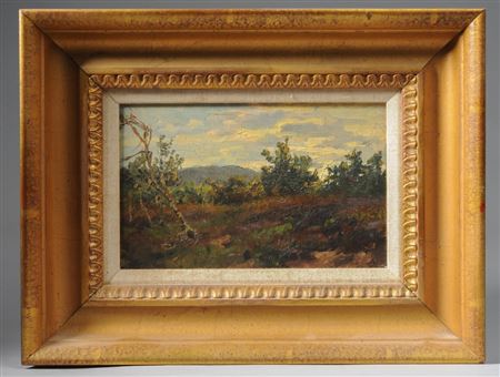 Landscape with low mountain in the distance