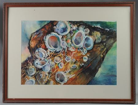 "Sunken Anchor"