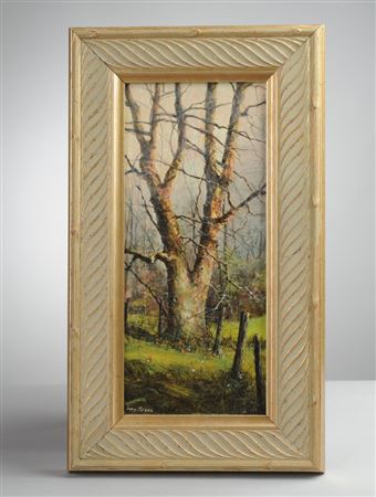 Sycamore (or similar) tree