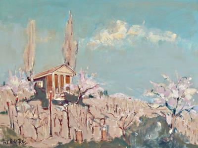 Almond Blossom in the Palatinate
