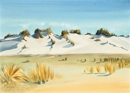 Dunes, 1980