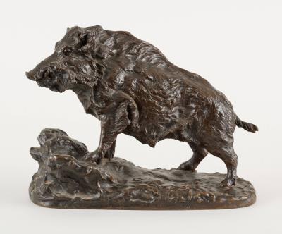 Wild Boar on the Rock