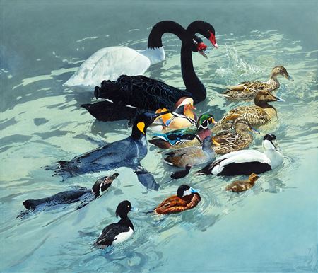 Flotilla!