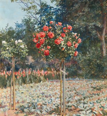 Blooming flowers in the garden
