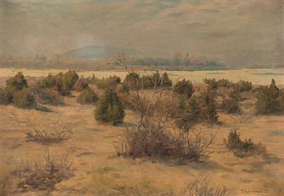 Spring Landscape