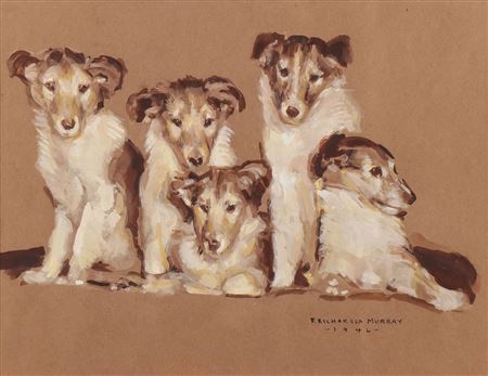 Collie Puppies- 1946