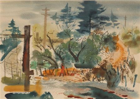 Trees in Landscape