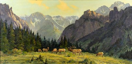 The Magnificent Country