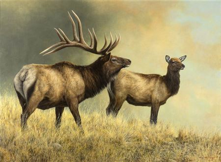 Sample artwork by Jorge Mayol (Born 1948), known for wildlife, landscape - View similar artists and auction records
