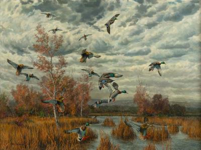 Ducks on the Marsh