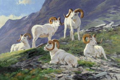 Spring Online Auction