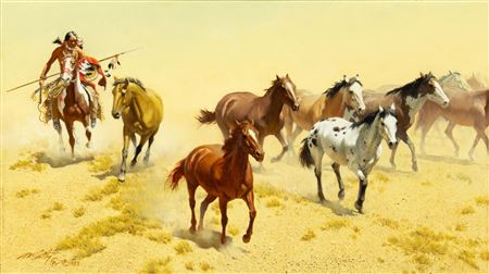 A Comanche Warrior's Wealth