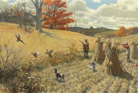 Springers and Pheasants