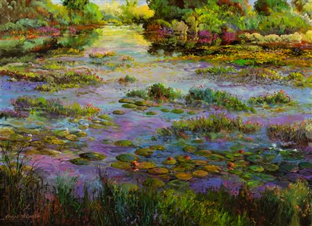 Pink and White Water Lilies