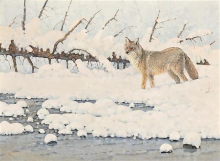 On Patrol