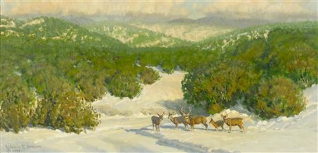 Sangre de Cristo Mule Deer, 1979