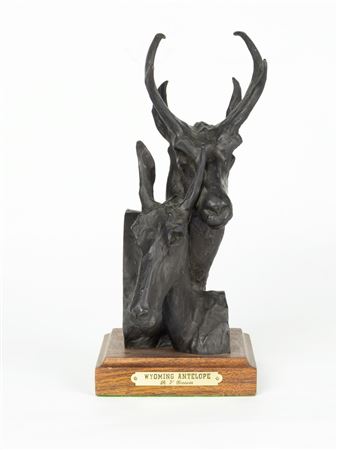 Wyoming Antelope, 1984