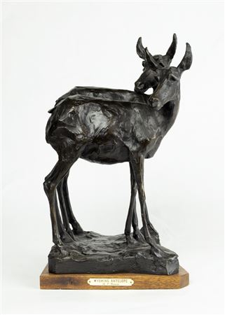 Wyoming Antelope, 1984