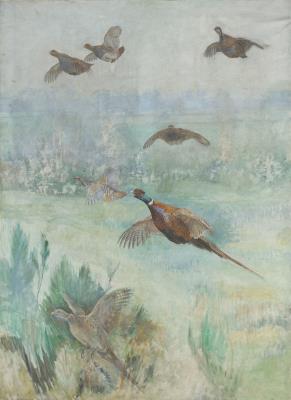 Pheasants