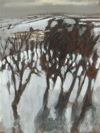 Snow Near Ballyduggan
