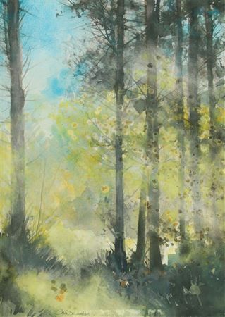 WOODLANDS