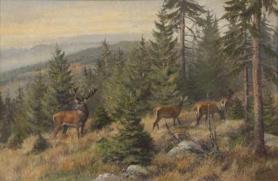 Im Oberharz